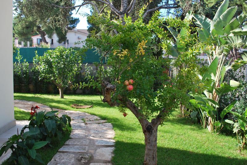 No Tag Urban Hotel Trani Eksteriør billede